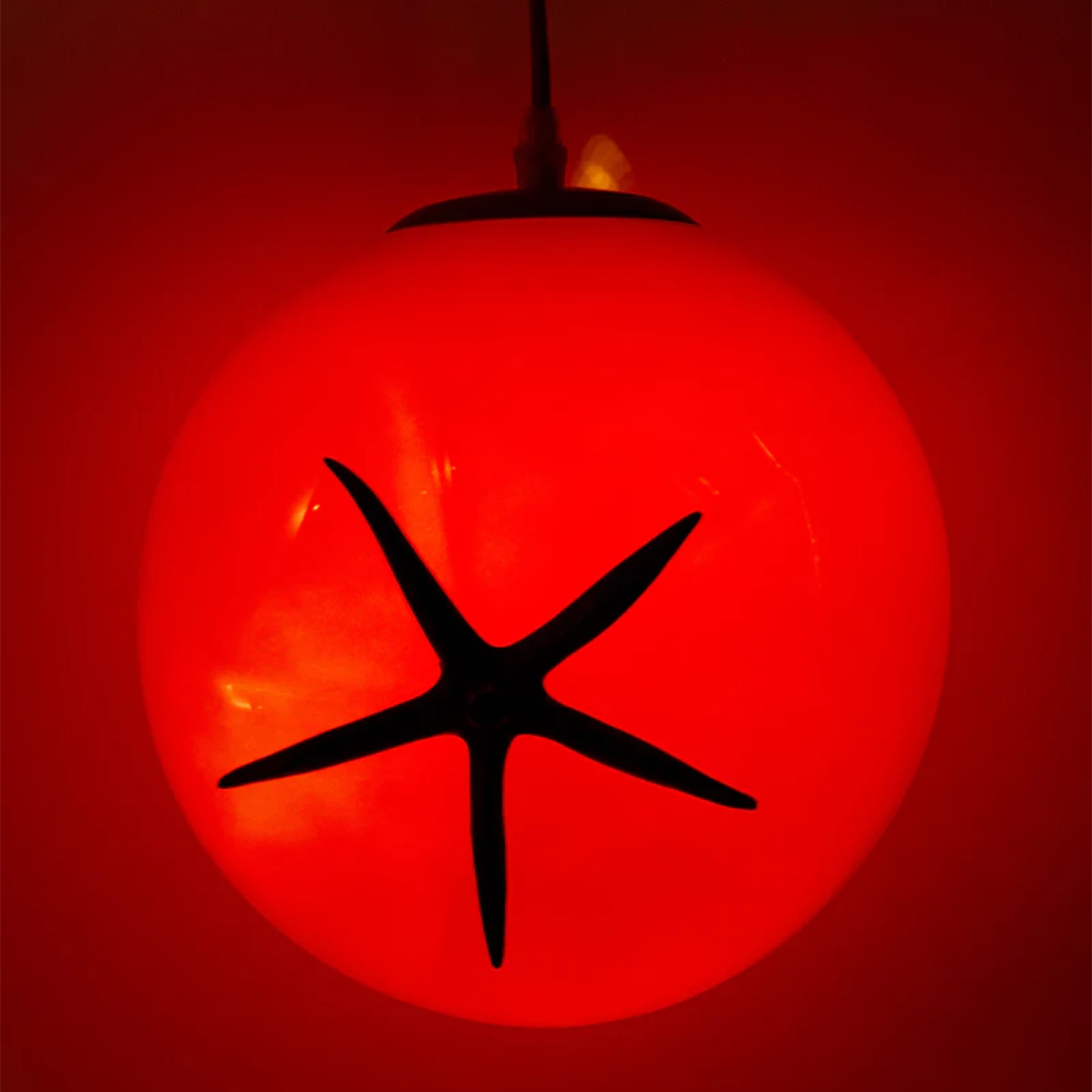 Lampe Tomate 3